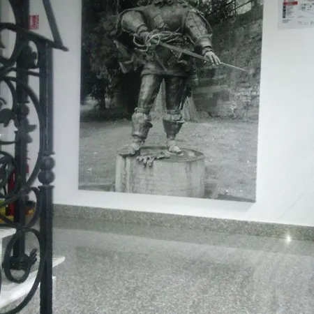 Casa D'artagnan Pensiune